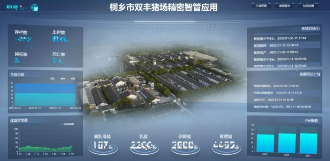 產(chǎn)業(yè)服務：生豬精密智管 讓畜牧業(yè)更“智慧”