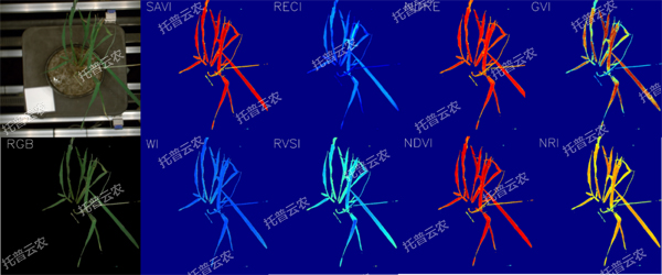 逆境模擬及植物生長監(jiān)測(cè)平臺(tái)-高光譜成像與指數(shù)分析結(jié)果.jpg